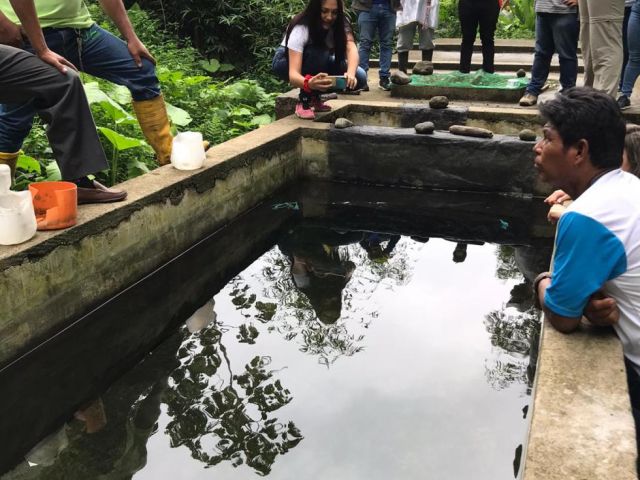 MMD 54 intervient en &Eacute;quateur